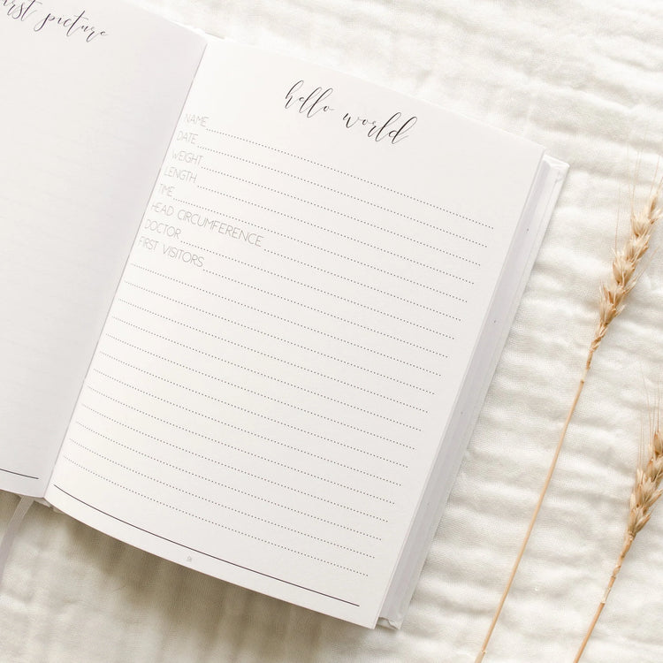 Photo of a pregnancy journal page. This page is called 'Hello World' for when the baby arrives. There is a page you can include babies name, date, weight, length, time of birth, head circumference, doctor and first visitors, as well as a first picture and some extra space to include your birth story.