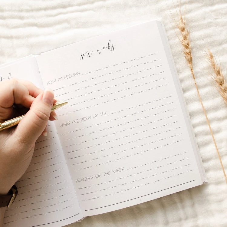 A journal with written prompts. This page displays the six week of pregnancy journey and has written prompts such as 'How i'm feeling' 'what i've been up to' and 'highlight of this week'.