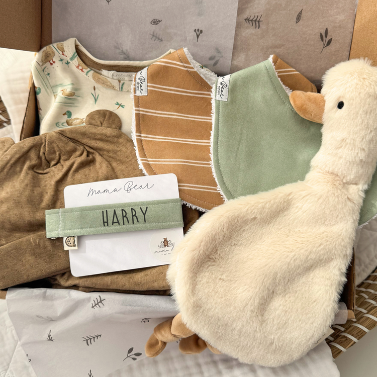 Personalised Baby Boy Newborn Gift Hamper | Sage & Caramel Stripe Goose