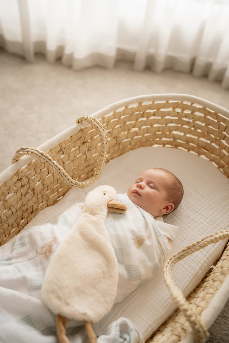 Baby Comforter Toy | Goose ‘Waddles’ Pop Ya Tot