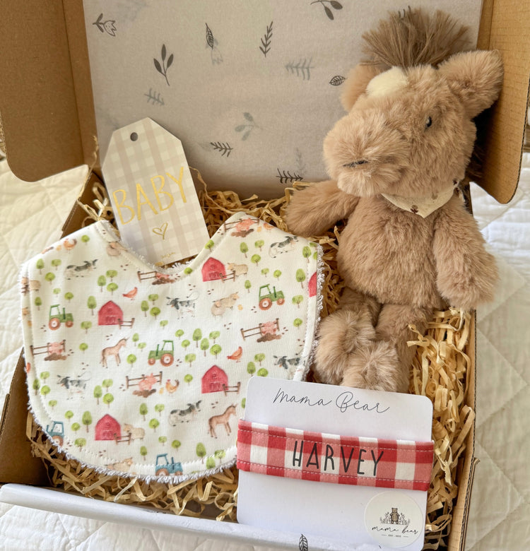 Personalised Baby Boy Gift Box Idea | Horse Farm Theme