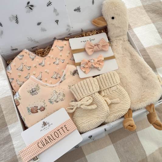 Newborn Baby Girl Gift Hamper | Little Pink Goose