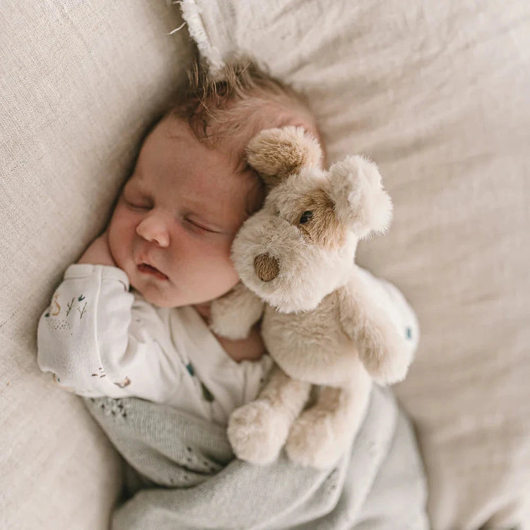 A baby lying down wearing a gray onesie, surrounded by a grey blanket, with a beige stuffed puppy rattle placed on the blanket next to the baby.