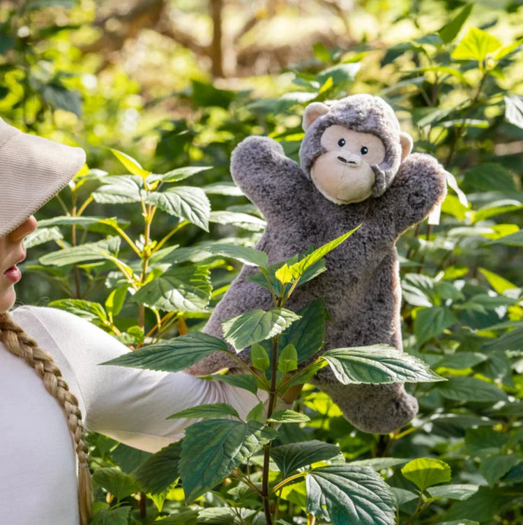 Mani the Monkey Hoochy Coochie | Nana Huchy