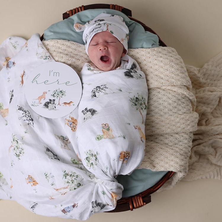 Newborn baby wrapped in a dog patterned blanket with a 'I'm here' sign in a wooden basket.