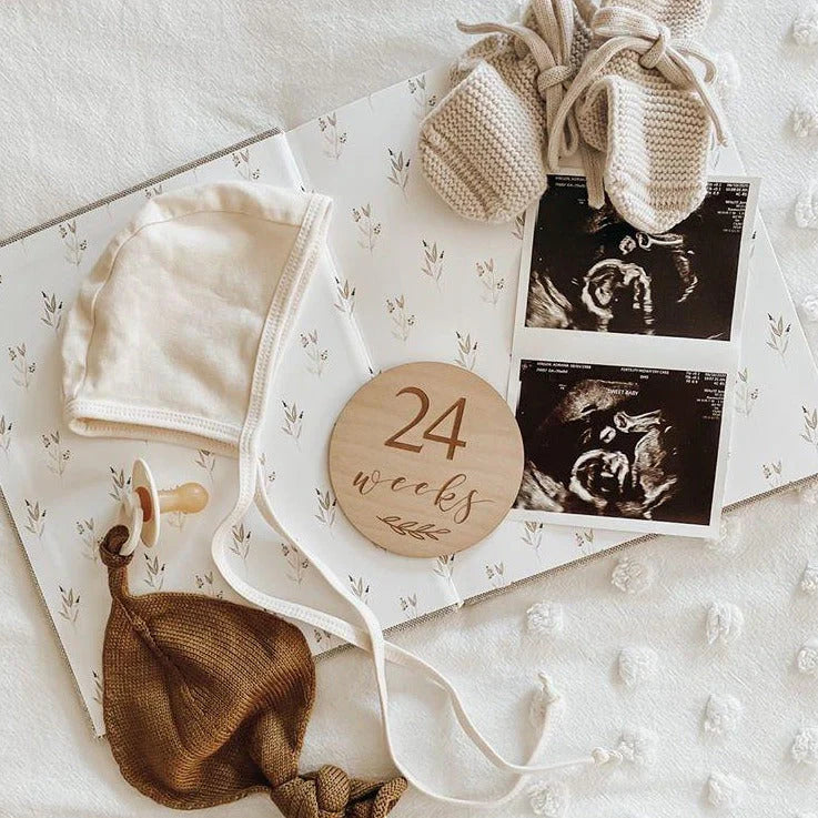 Pregnancy Baby Milestone Disc Collection | Set of 14