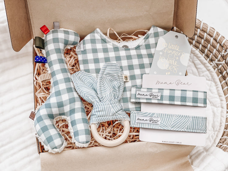Baby Boy Gift Hamper | Handmade Blue Giraffe, bib & dummy clips