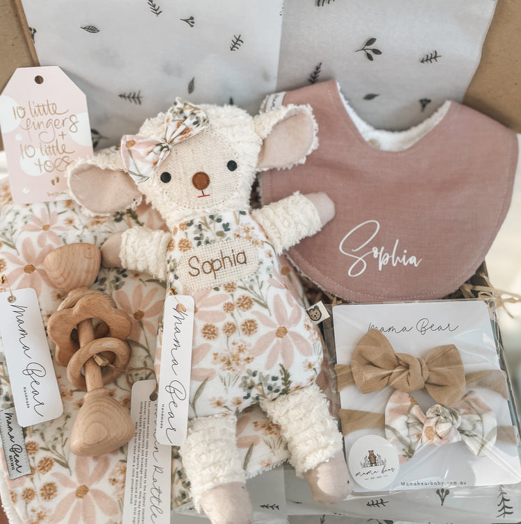 Newborn Baby Girl Gift Hamper  | Pastel Meadow