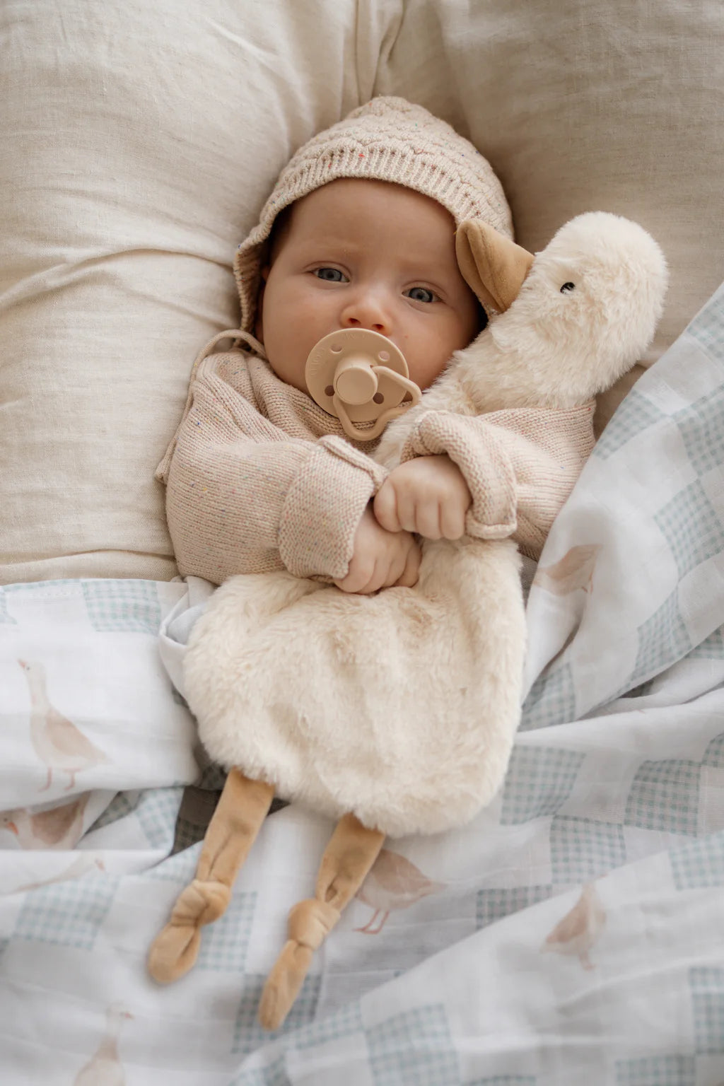 Baby Comforter Toy | Goose ‘Waddles’ Pop Ya Tot
