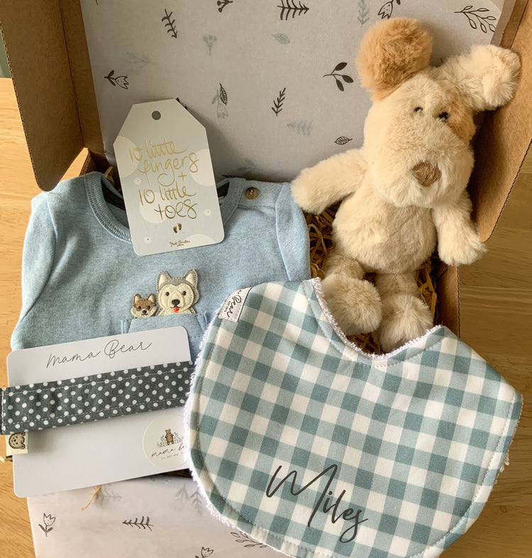 Blue Baby Boy Gift Box | Puppy Dog