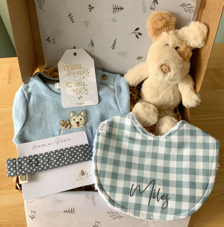 Blue Baby Boy Gift Box | Puppy Dog