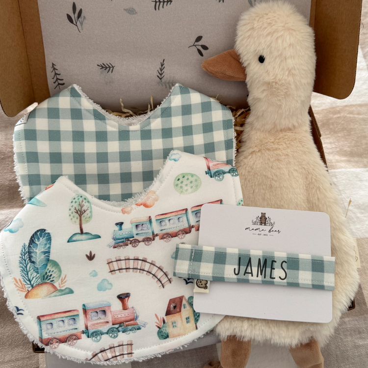 Personalised Baby Boy Blue Gift Box | Train Bib & Goose Toy