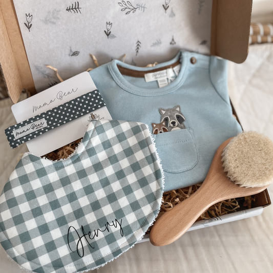A baby gift hamper set including a blue bodysuit with a raccoon design, a blue and white gingham bib, a wooden hairbrush, a dummy clip, and a gift tag in a box.