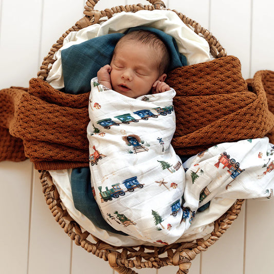 Newborn baby swaddled in a blanket with train pattern, wrapped in brown fabric, lying in a woven basket.