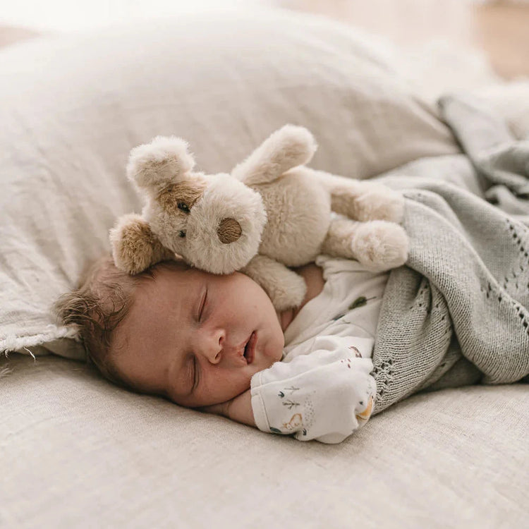 Buddy the Puppy Dog Rattle | Nana Huchy