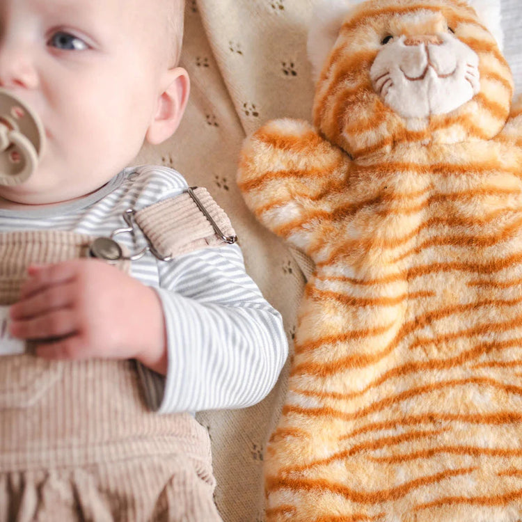 Ginger the Cat Hoochy Coochie | Nana Huchy