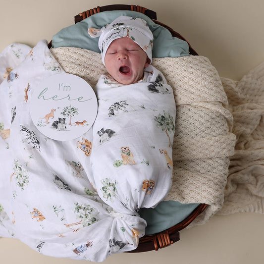 Newborn baby wrapped in a dog patterned blanket with a 'I'm here' sign in a wooden basket.