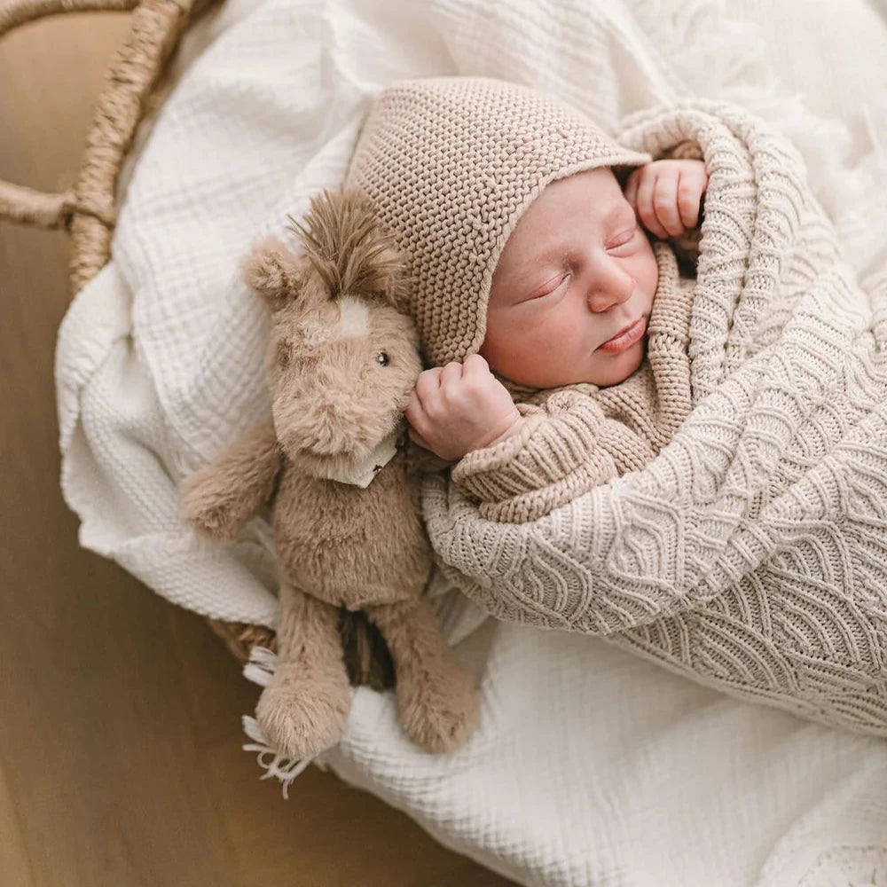Newborn baby in a knitted outfit holding a plush toy in a basket.