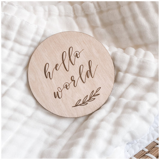 ‘Seconds’ Hello World - Wooden Milestone Plaque