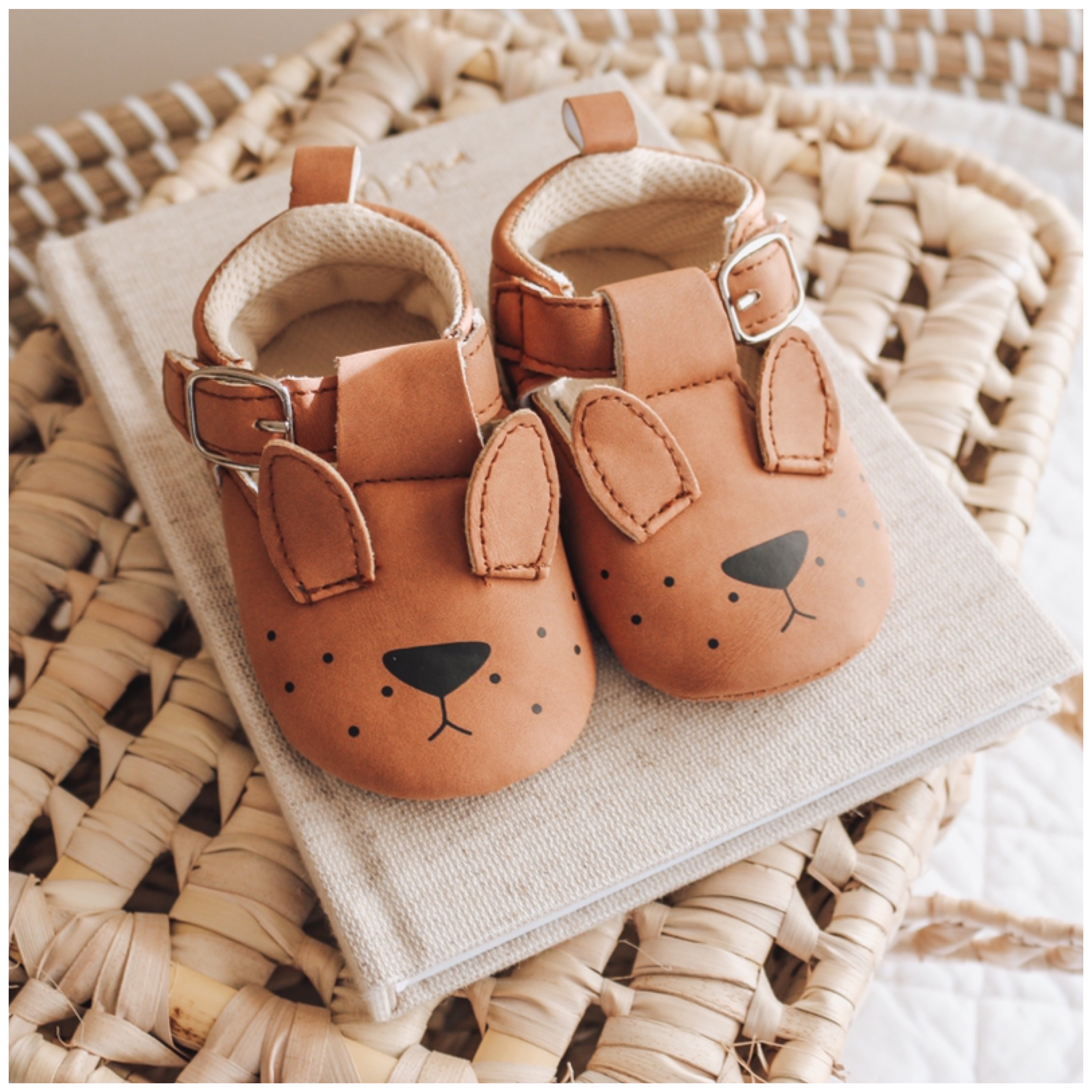 Baby Shoes - Puppy