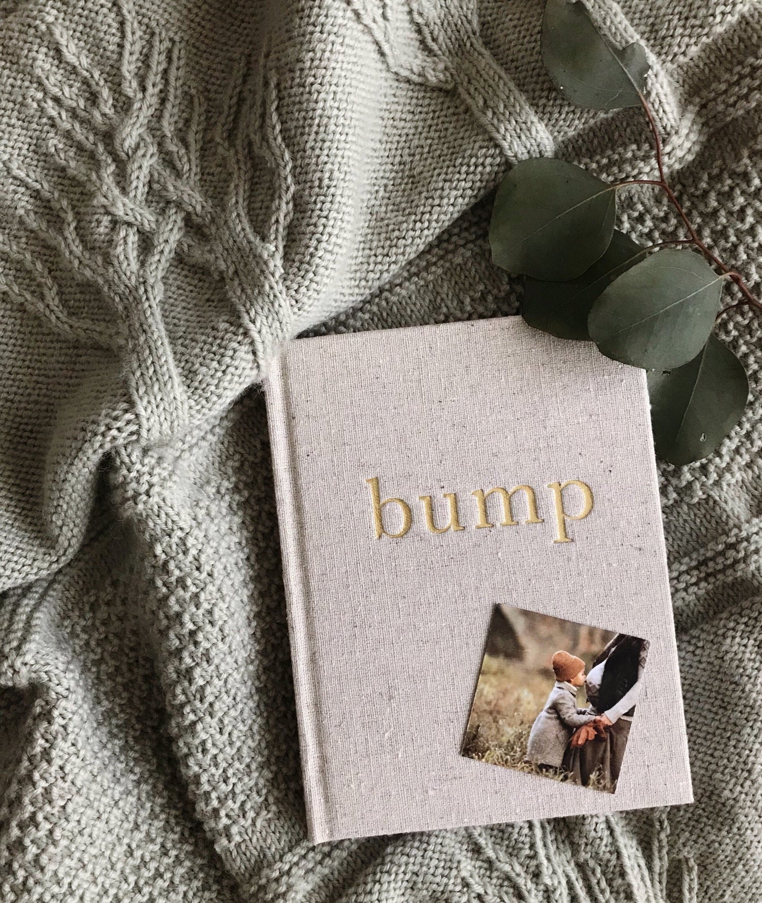 Bump - A Pregnancy Story - Mama Bear